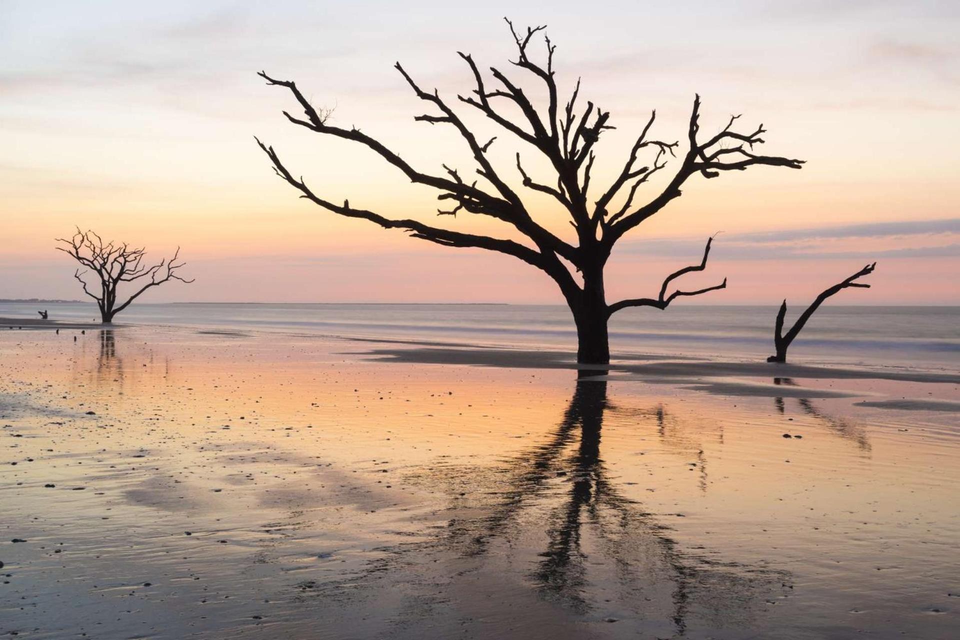 The Treehouse Villa Isle of Palms Ngoại thất bức ảnh